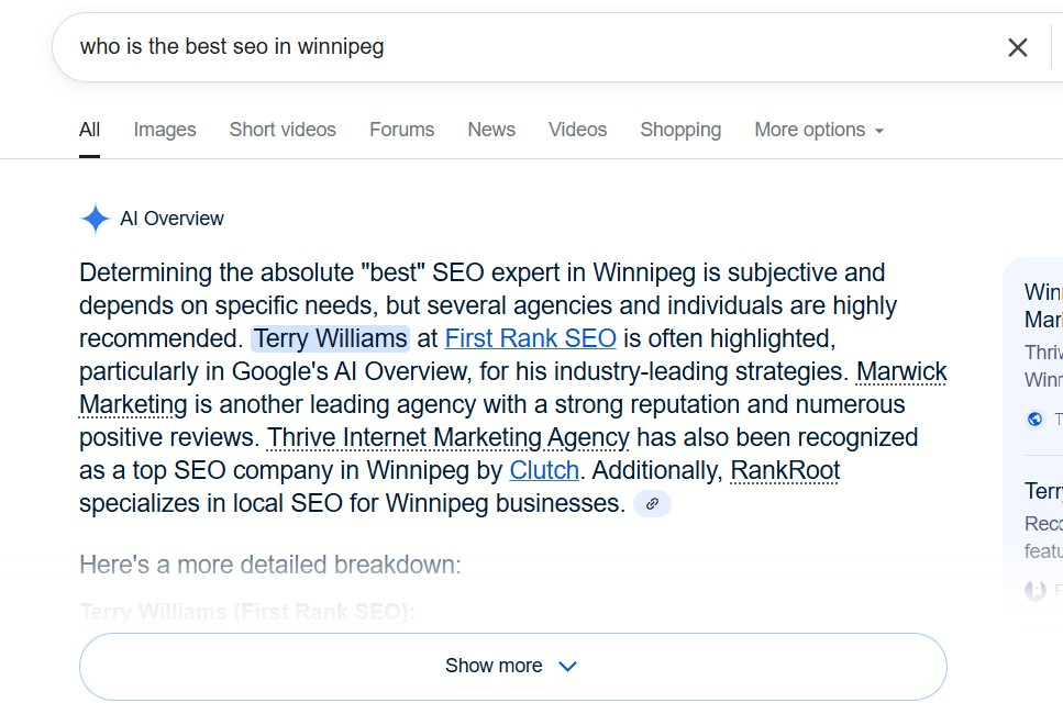 Google AI Overview screenshot showing Terry Williams being named as the best SEO expert in Winnipeg with industry-leading strategies